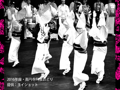 2017　座・高円寺阿波おどりの写真