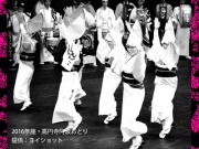 2017　座・高円寺阿波おどりの写真