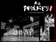 2023 夏の座・高円寺阿波おどりの写真