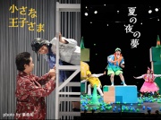 小さな王子さま／夏の夜の夢の写真