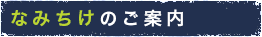 「なみちけ」のご案内